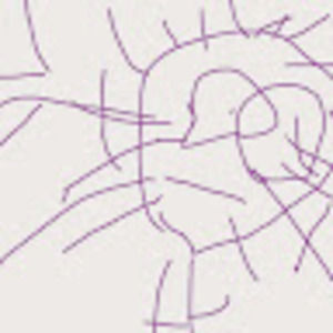 Meet your Posher, Odile